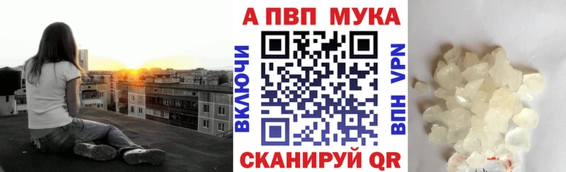 Купить закладки  Александровск  Alpha PVP СК КРИС 