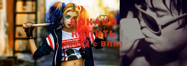 ГАЛЛЮЦИНОГЕННЫЕ ГРИБЫ Тайга