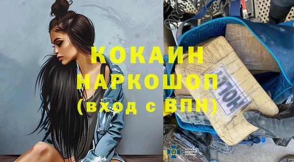 ГАЛЛЮЦИНОГЕННЫЕ ГРИБЫ Тайга