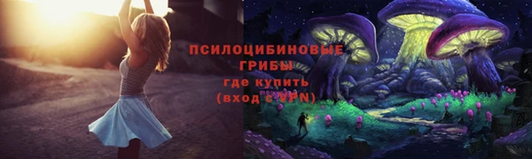 ГАЛЛЮЦИНОГЕННЫЕ ГРИБЫ Тайга