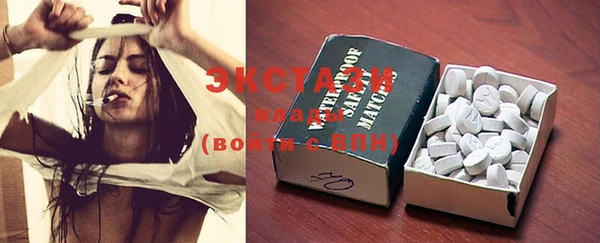 ГАЛЛЮЦИНОГЕННЫЕ ГРИБЫ Тайга